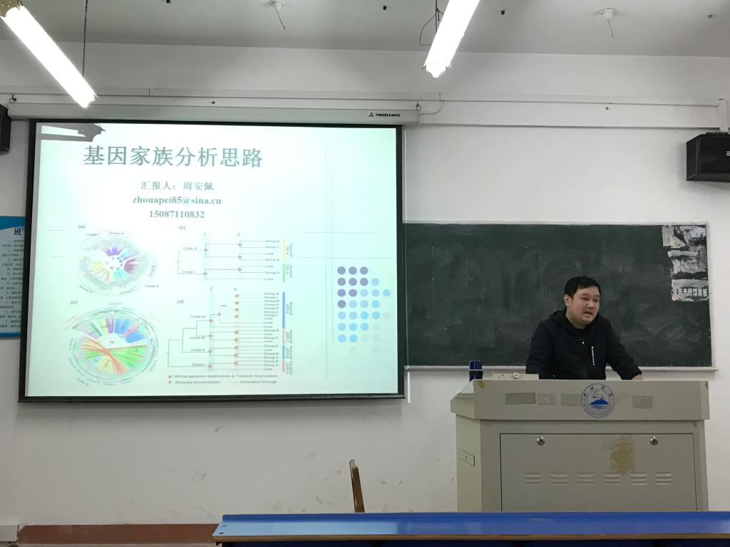 太阳集团tcy8722