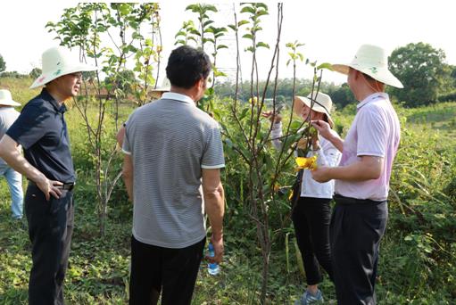 360截图20220822112648955.jpg 太阳集团tcy8722